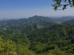 -六里坪国家森林公园