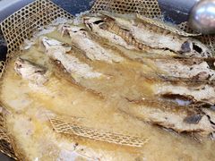 红烧黄河大鲤鱼-阿庄新豫菜(航海东路店)