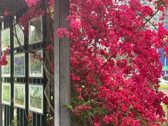 -宜家家居(高新商场店)