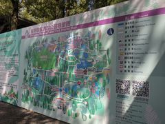 -东平国家森林公园