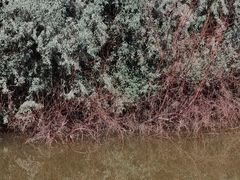 -千姿湖生态旅游景区