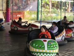 -西安市长乐公园