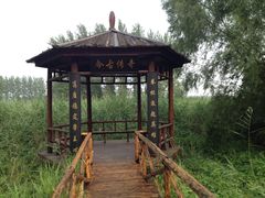 -微山湖红荷湿地景区
