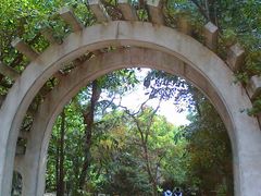 -中山大学学者灵芝(园南路店)