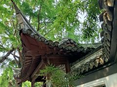 -水绘园