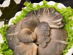 -蝎王府羊蝎子(西直门店)