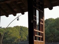 -逢源酒楼(东大街店)