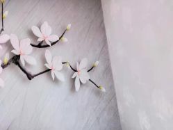 -梵茜儿·头道汤养生馆
