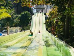 -亚马逊丛林水乐园