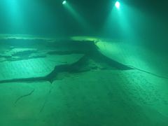 -白鹤梁水下博物馆