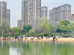 -青枫公园