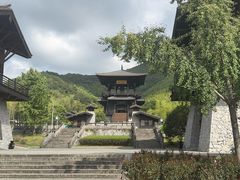 -大唐贡茶院