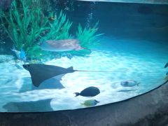 -沈阳海洋探索中心