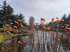 -金银湖国家城市湿地公园