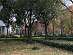 -陆家嘴金融服务广场2期