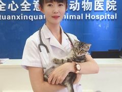 -全心全意连锁动物医院·微创中心·内科急重症·心脏专科(丰管路店)