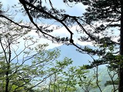 -明堂山风景区
