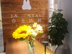 -齐玉齿科JADENTAL