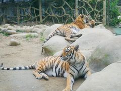 -常州淹城野生动物世界