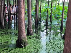 -云龙湖旅游景区