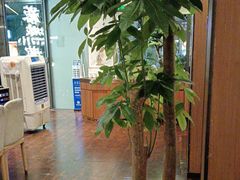 -蓉城小馆(科兴店)