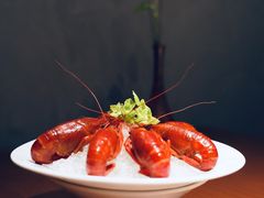 -觀芷隐轩