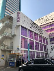 -深圳美莱医疗美容医院