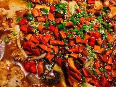 毛血旺-乔阿马·江南味·驴肉香(龙湖华泾天街店)