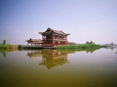 -哈素海