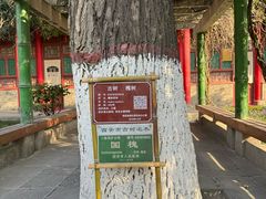 -关中书院