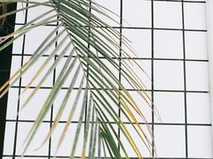 -YUMI芽米·法式烘焙·咖啡(文化宫店)