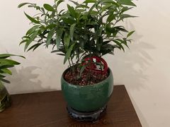 -影居starhoho·泳池别墅轰趴馆·天璇