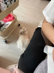 -Beauty Nails 美甲美睫皮肤管理