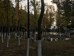 -艾溪湖湿地公园