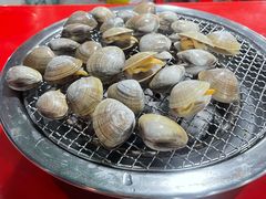 -大鹿岛