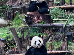 -盖碗儿梨园·变脸吐火·川剧(天府广场店)