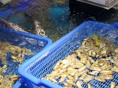 水产区-盒马鲜生(岭南新世界店)