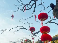 -华清宫景区
