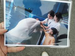 -福州罗源湾海洋世界旅游区