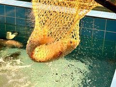 -金百门·顺德海鲜酒家(陈村店)