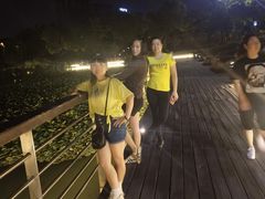 -南翔镇银翔湖公园