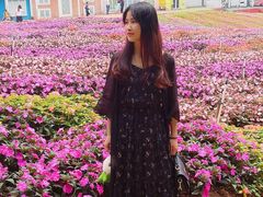 -松山湖梦幻百花洲