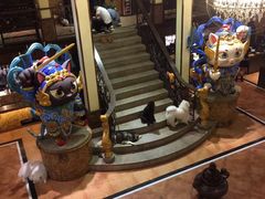 -more than meow吴止猫主题餐厅(承德 中船汇店)