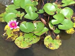 iphone_upload_pic-陆地游轮吉林神农温泉