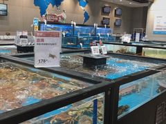 水产区-盒马鲜生(王府广场店)
