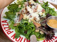 -Tubestation站点比萨(五道营店)