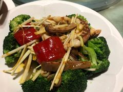 -张记旺角食街(动物园店)