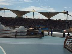 -秦皇岛乐岛海洋王国