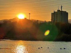 -永定河休闲森林公园