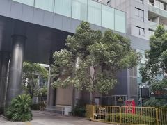 -上海浦东康桥绿地假日酒店